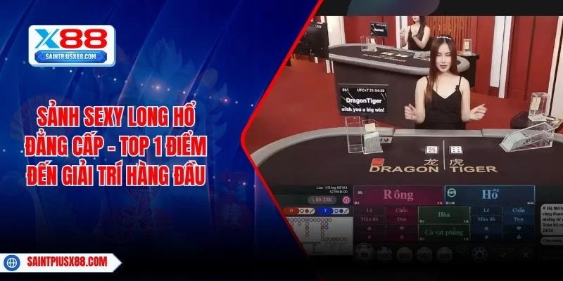 Sảnh Sexy Long Hổ Đẳng Cấp - Top 1 Điểm Đến Giải Trí Hàng Đầu
